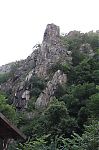 IMG_4574.jpg