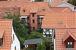 IMG_4636.jpg