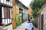 IMG_4652.jpg