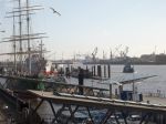 Kopie_von101_0328.jpg