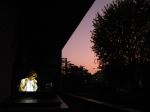 herbst2008_171.JPG