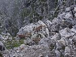 IMG_2270.jpg