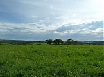 P1020039.jpg