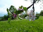 P1020043-2.jpg