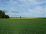 P1020045.jpg