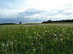 P1020047.jpg