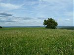 P1020049.jpg