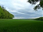 P1020056.jpg
