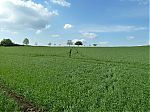 P1020076-1.jpg