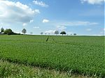 P1020077-2.jpg
